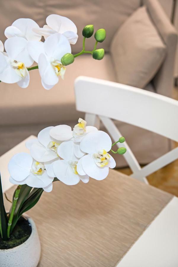 Veneziacentopercento Alle Ancore Apartment Exteriör bild